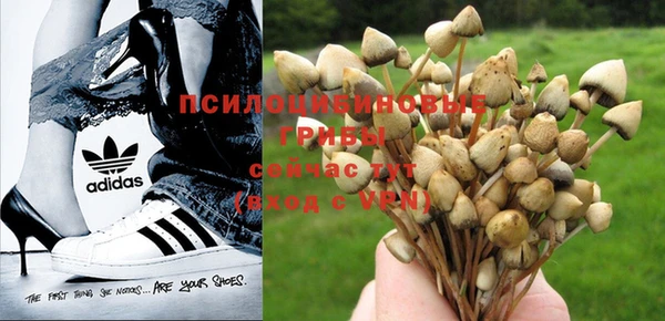 ешки Заволжье
