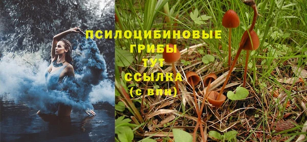 мескалин Заводоуковск