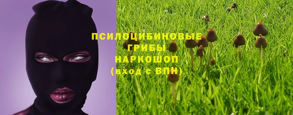 мескалин Заводоуковск
