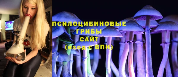 ешки Заволжье