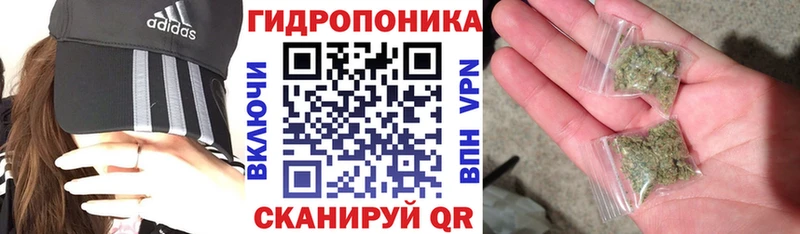 Купить где  Коряжма  МАРИХУАНА OG Kush 